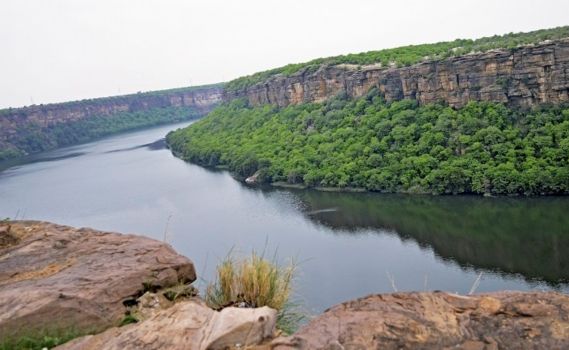 National Chambal Wildlife Sanctuary